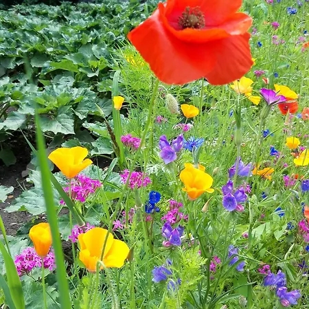 Hennings Bargenstedt